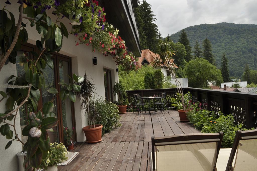 La Monitori Hotell Sinaia Rom bilde